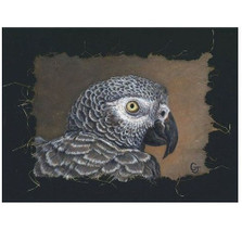 African Gray Portrait Print | Gary Johnson | GJgcafrgraypor