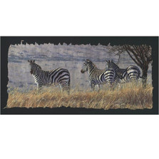 Zebra Print "Caught by African Light" | Gary Johnson | GJgccbafrlite