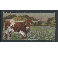 Longhorn and Bluebonnets Print | Gary Johnson | GJgclongblue