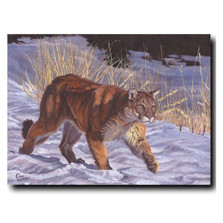 Cougar Print "On The Prowl" | Gary Johnson | GJgcotpc