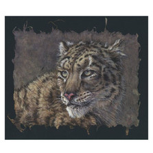 Snow Leopard Portrait Print | Gary Johnson | GJgcsnleoppor