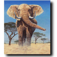 Elephant Print "Stand Your Ground" | Gary Johnson | GJgcsyg