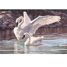 Swans Porcelain Figurine Take Flight