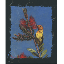 Western Tanager Print | Gary Johnson | GJgcwt