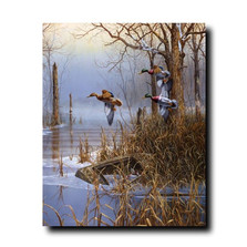 Duck Print "After the Thaw" | Jim Hansel | JHafterthethaw