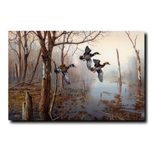 Wood Duck Print "Backwater" | Jim Hansel | JHbackwater
