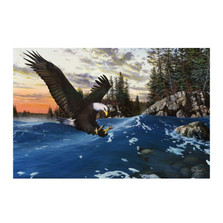 Eagle Print "Endangered Moment" | Jim Hansel | JHendangeredmoment