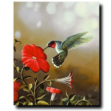 Ruby Throated Hummingbird Print | Jim Hansel | JHhummingbird