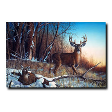 Deer Print "Resting Place" | Jim Hansel | JHrestingplace