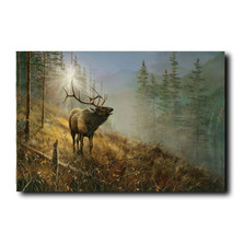 Elk Print "Song in the Mist" | Jim Hansel | JHsonginmist