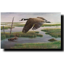 Goose - Moose Print "Wetlands and Wilds" | Kevin Daniel | KD073