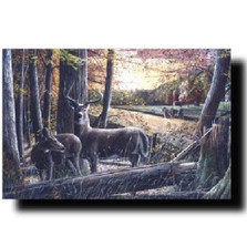 Deer Print "Autumn Harvest" | Kevin Daniel | KD164