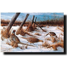 Pheasant Print "Daybreak" | Kevin Daniel | KD177