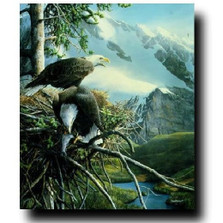 Eagle Print "Majestic View" | Kevin Daniel | KD217