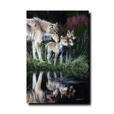 Wolf Print "Reflections" | Kevin Daniel | KD446