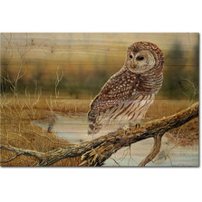 Owl Wood Wall Art "Early Hunter Owl" | Wood Graphixs | WGIEHO2416