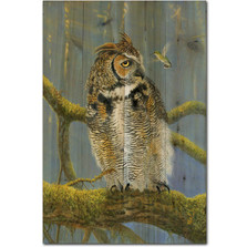 Owl and Hummer Wood Wall Art | Wood Graphixs | WGIFOAH1624