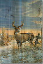 Whitetail Deer Winter Wood Wall Art | Wood Graphixs | WGIWTDW1624