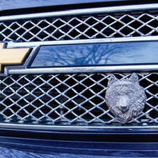 Creative Car Grill Decorations: Personal Experiences and Tips for Customization