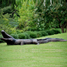 Large Alligator Bronze Fountain Statue | Metropolitan Galleries | SRB702223