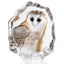 Barn Owl Painted Crystal Sculpture | 34200 | Mats Jonasson Maleras