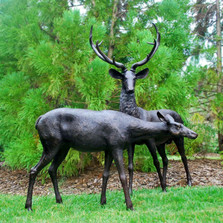 Deer Buck and Doe Life Size Bronze Outdoor Statue | Metropolitan Galleries | MGISRBSRB15055-56