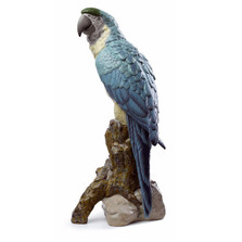 Macaw Bird Porcelain Figurine | Lladro | LLA01008388