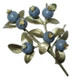 Blueberry Pin | Michael Michaud Jewelry | SS5666BZBC -2