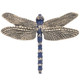 Dragonfly Blue Pin | Cavin Richie Jewelry | DMOKB-354-PIN