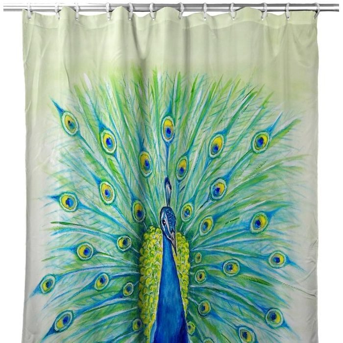 Peacock Shower Curtain  B Drake Peacock Shower Curtain