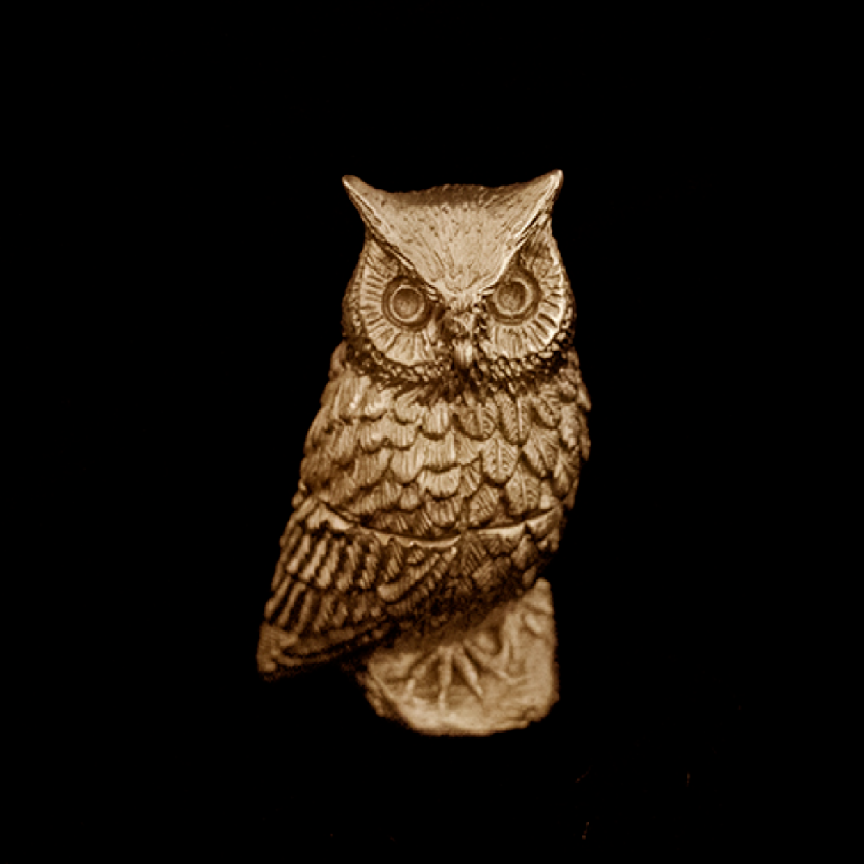 Leopard Frog Box | Michael Michaud