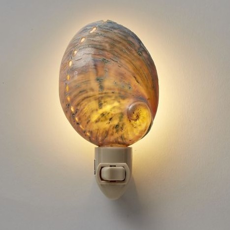 Seashell Nightlight | Polished Greenlip Abalone Shell LED Nightlight Seashell Nightlight | Polished Greenlip Abalone Shell LED Nightlight
