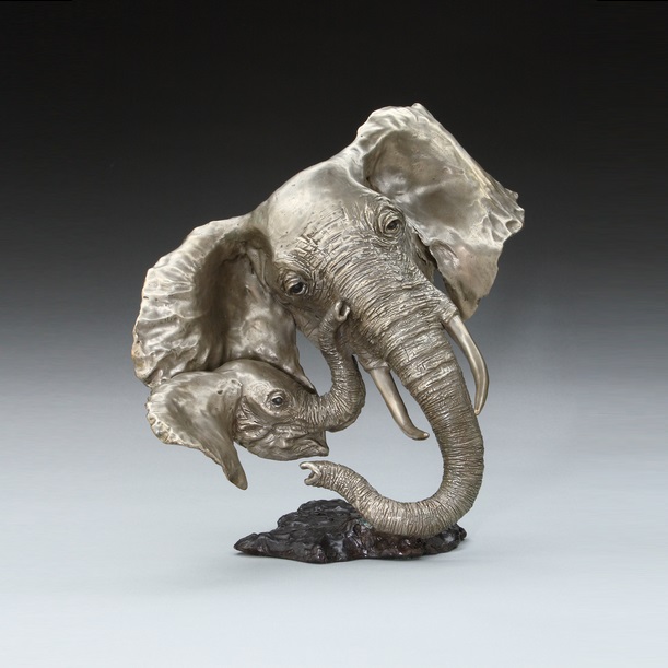 young_one_elephant__32244.