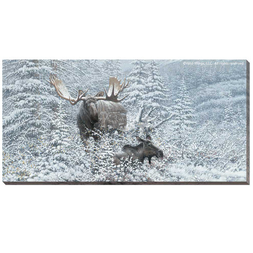 Moose Canvas Art | Wrapped | Patient Suitor | Wild Wings