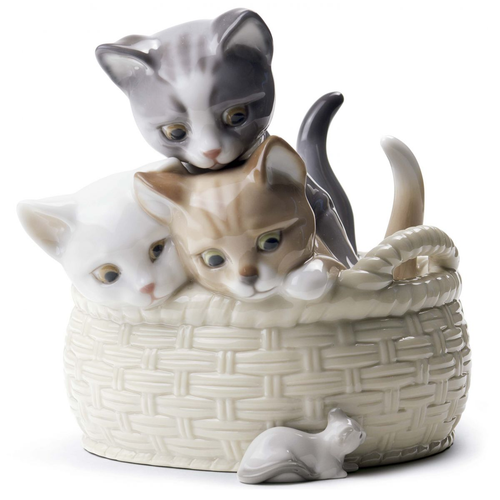 Curious_Kittens__22017.