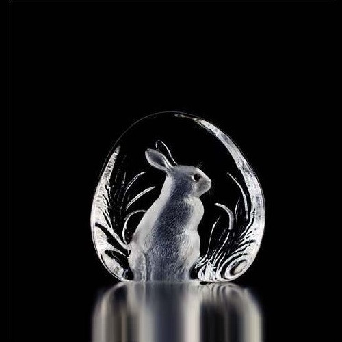 rabbit_33281__59369.1446581663