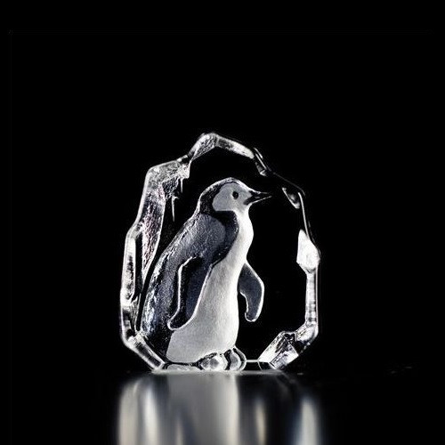 penguin__12024.1447686900.500.