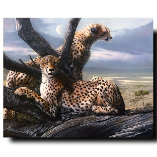 Deuxieme Classe BRENTA LEOPARD ポインテッド Cheetah Print | View to a Kill | Kevin Daniel