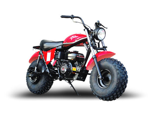 TrailMaster MB200-2 Minibike