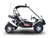 TrailMaster Blazer 200X Go-Kart for Adults