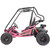 TrailMaster Mini XRXR+ Go-Kart Pink