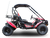 TrailMaster Blazer 200 Go-Kart for Adults