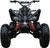 Coolster 200 Sport ATV, 3200S 4-Wheeler