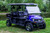 TrailMaster Taurus 80ED Electric 4-Seater UTV, side by side, utility vehicle