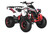 TrailMaster C125 Mid-Size 125cc Utility ATV