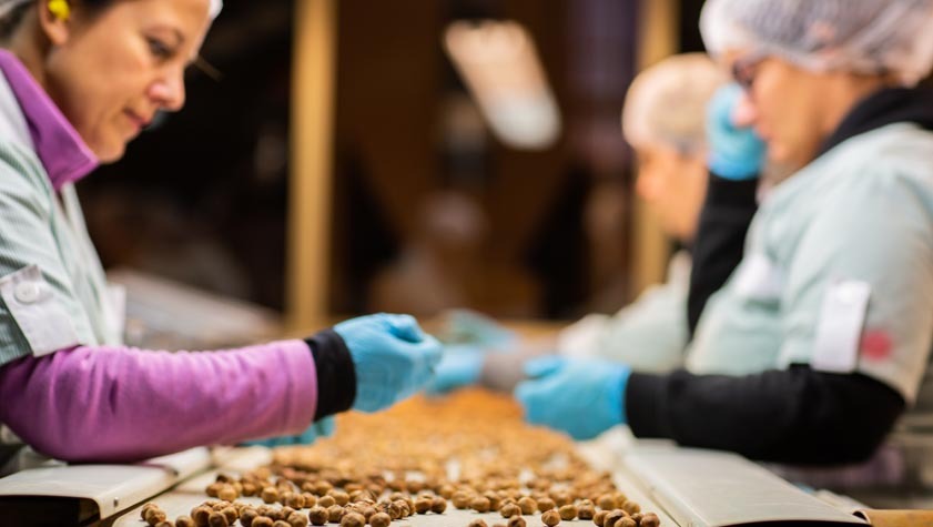 Produzione propria noccioleti italiani