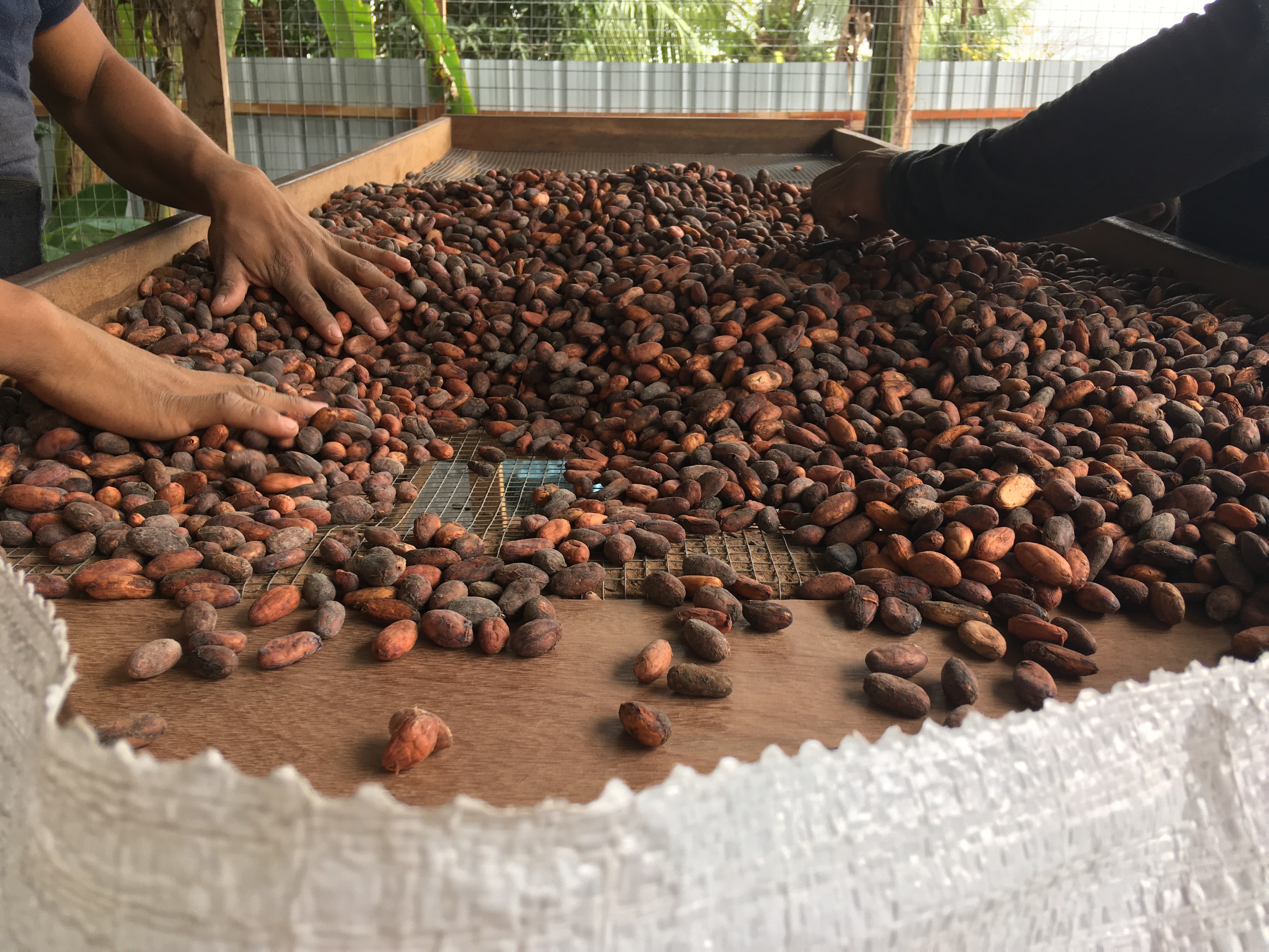 Lokale Gemeinschaften 