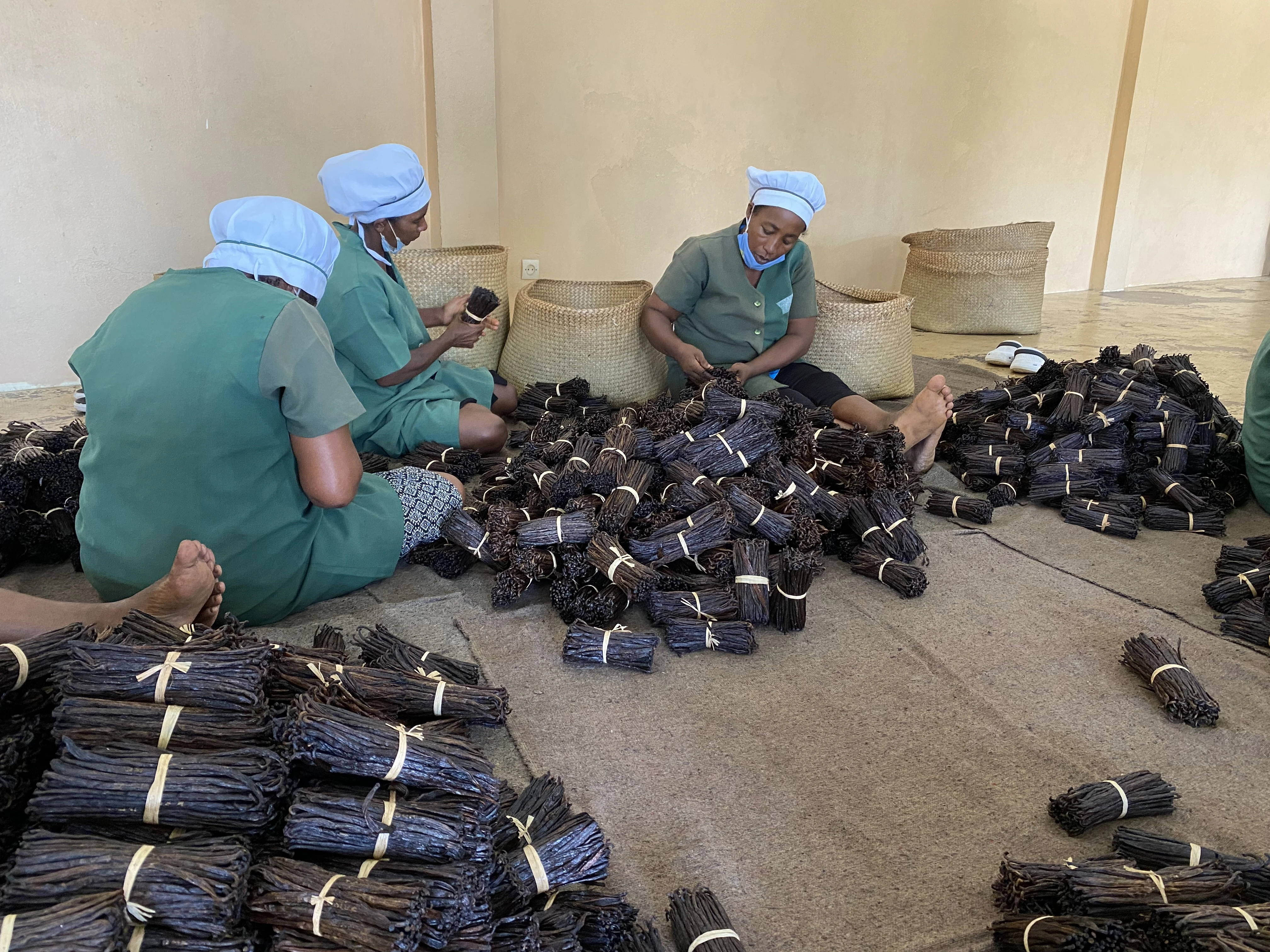 La nostra vaniglia Bourbon dal Madagascar