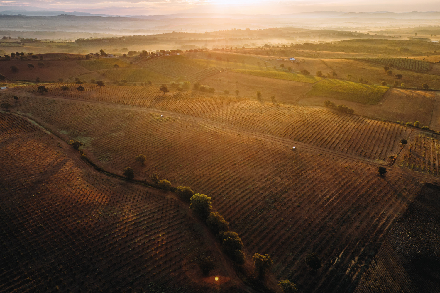 Italienische Haselnüsse von Loacker