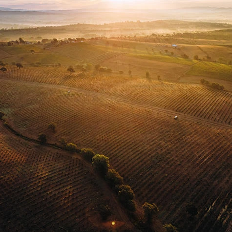 Azione per il clima, circolarità e tutela ambientale 